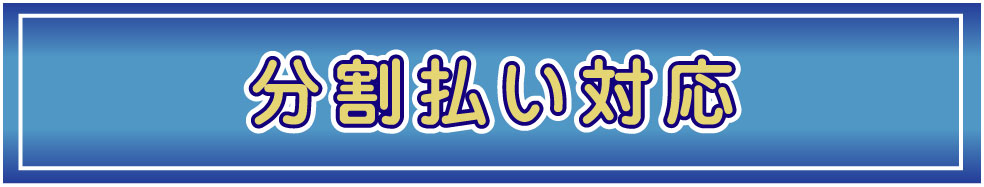 最大60回の分割払い